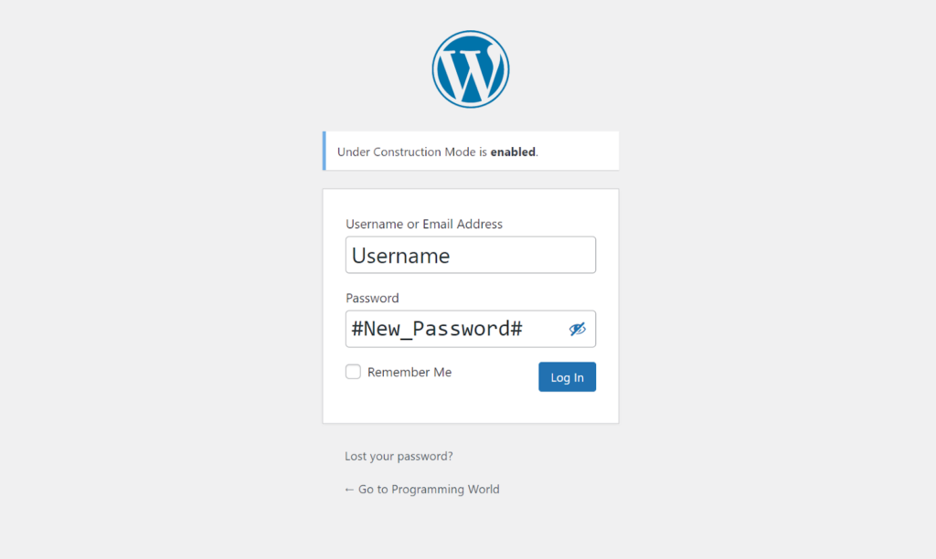 Step 6- Log in to your WordPress site with your new password